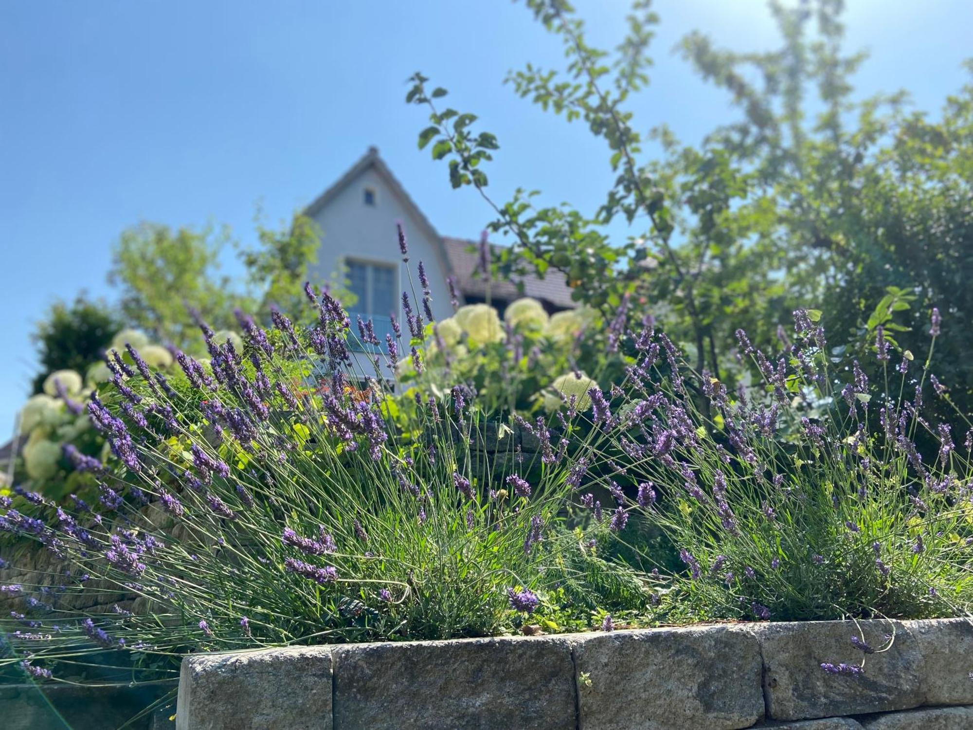 Romantik Idyll Am Tiefental Konigsbruck Exteriör bild