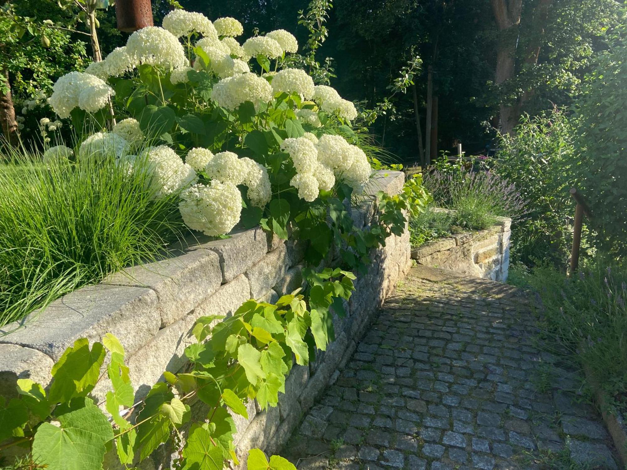 Romantik Idyll Am Tiefental Konigsbruck Exteriör bild