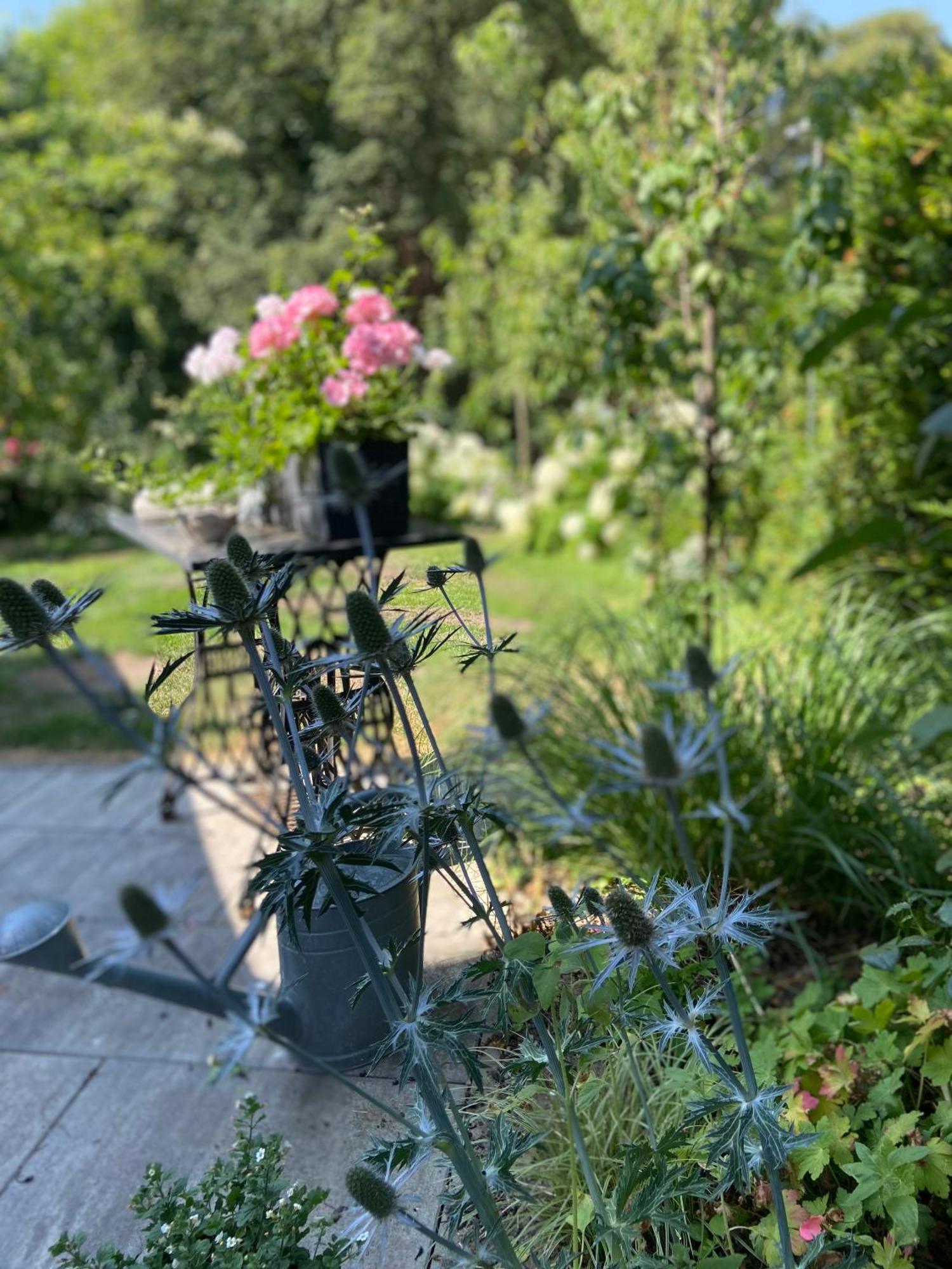 Romantik Idyll Am Tiefental Konigsbruck Exteriör bild